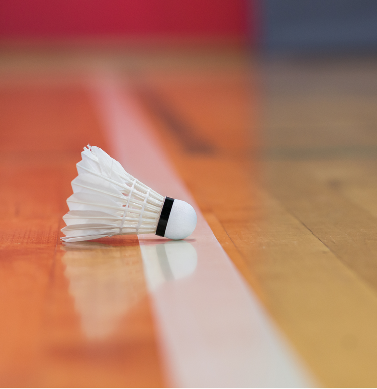 Badminton Zone